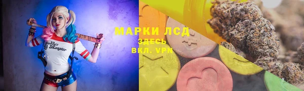 крисы Липки