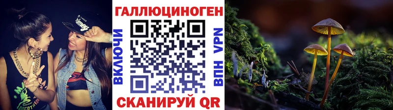 купить наркоту  Шимановск  Галлюциногенные грибы мухоморы 